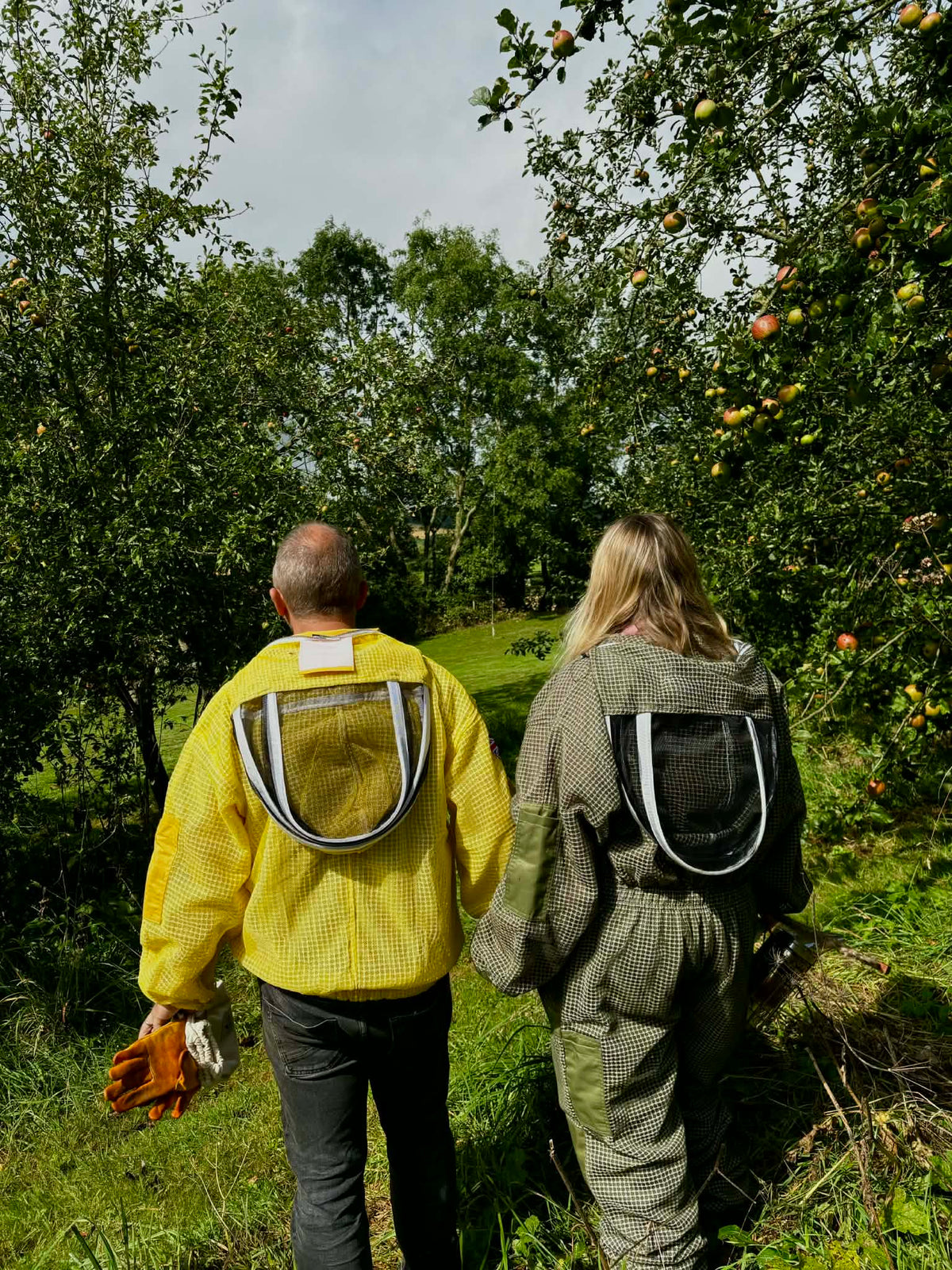 Two people walking through an apple orchard with beekeeping suits on.