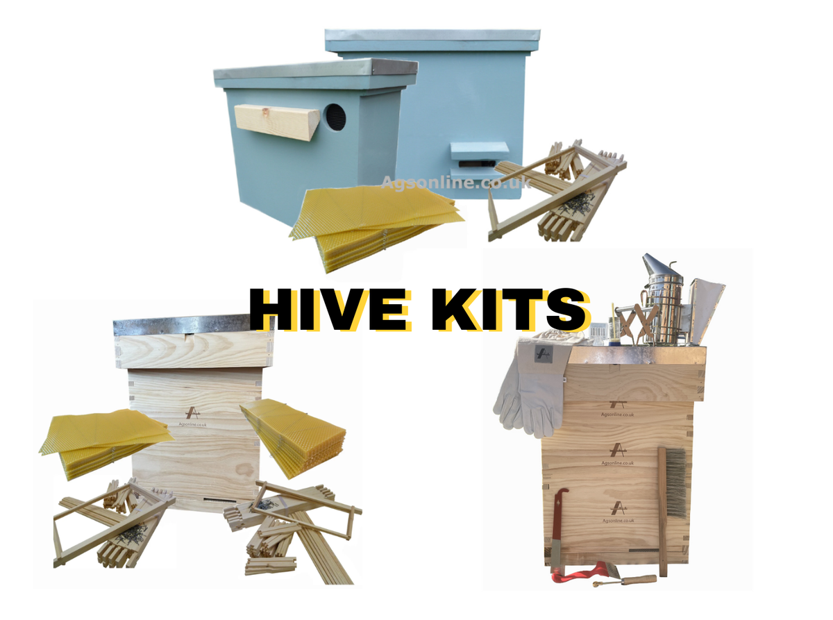 Beekeeper in full beekeeping suit inspecting a Langstroth hive, UK
