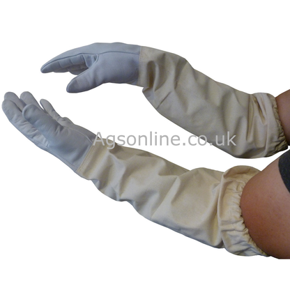 Leather beekeeping gloves worn, showing elasticated cotton gauntlets