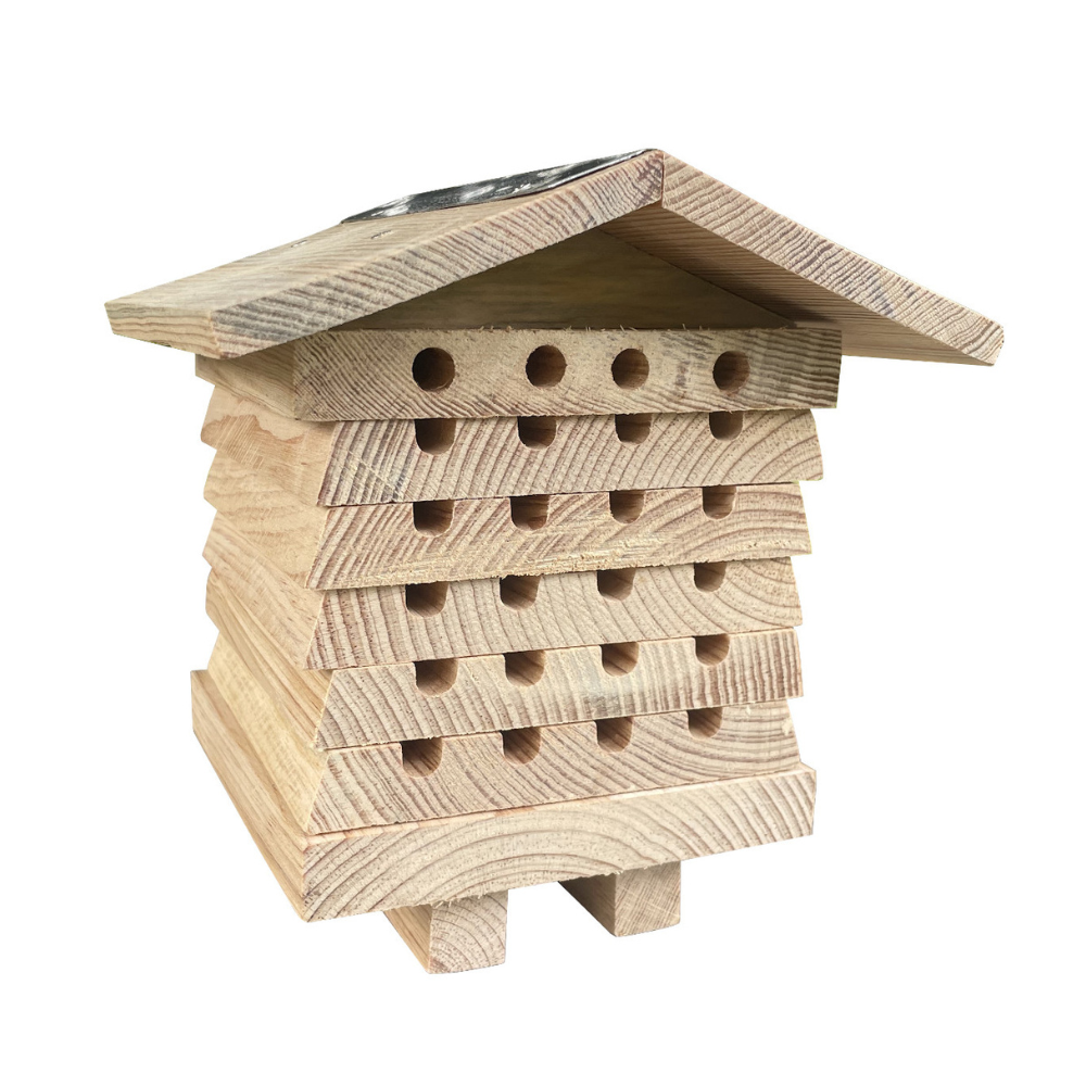 Colmena interactiva para abejas solitarias