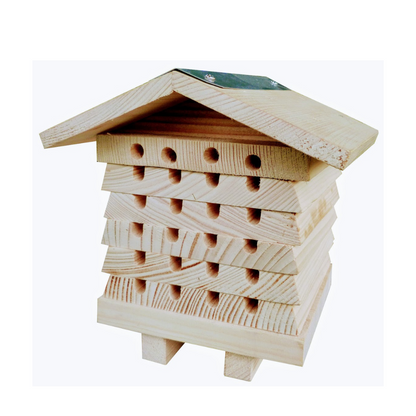 Colmena interactiva para abejas solitarias