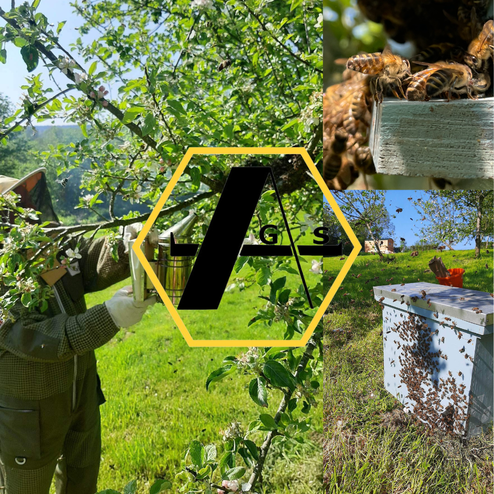 Beekeeping suit worn by UK beekeeper inspecting hive