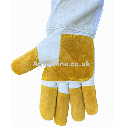 PRO Double Palm Gloves